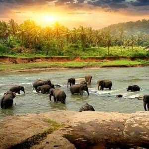 Coorg Weekend Getaway